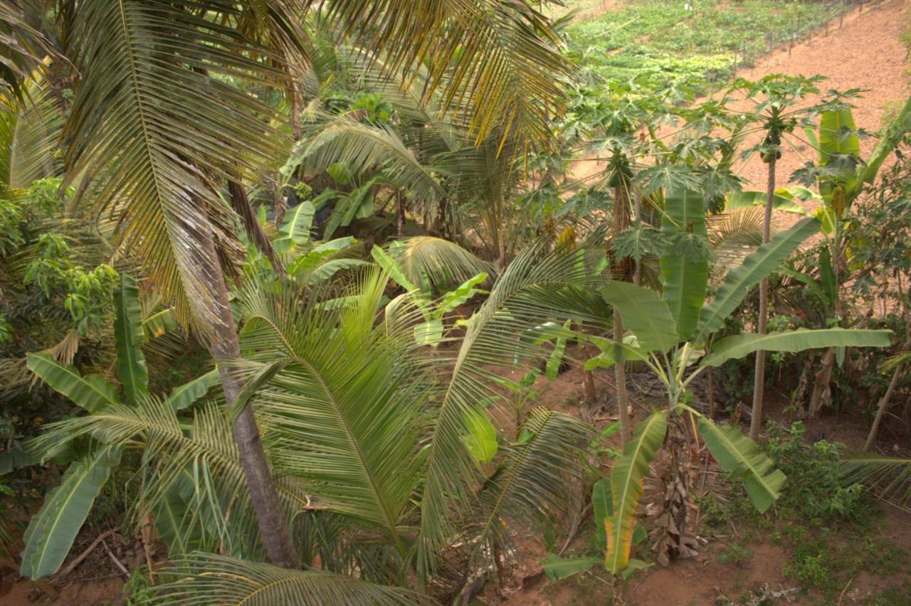 Surya Guest House Gokarna  Exterior photo